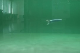 3D打印仿章鱼水下机器人（图文教程）