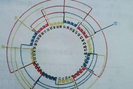 三相异步电动机的转速与极数的关系(图文教程)