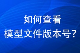 如何查看模型文件的版本号？