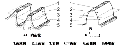 齿轮相关参数详解（图文教程）,齿轮相关参数详解,齿轮,分度,齿根,第10张