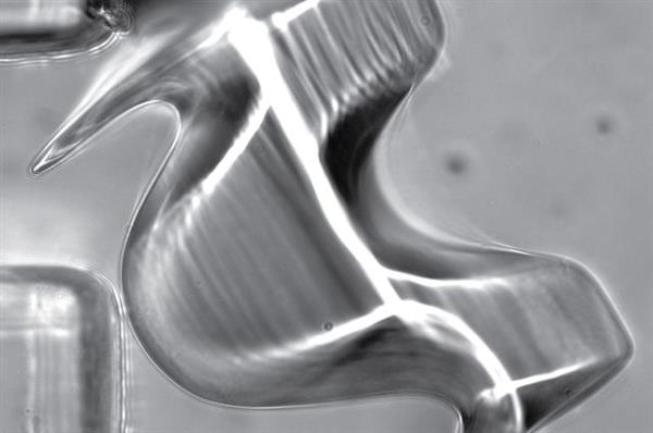 一种能3D打印微米级复杂形状颗粒的新技术（图文教程）,一种能3D打印微米级复杂形状颗粒的新技术,形状,第1张