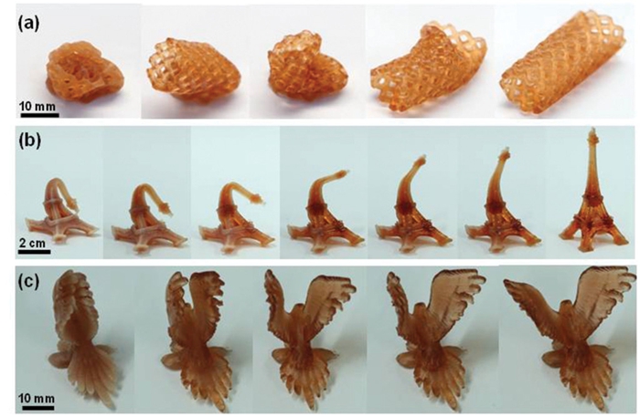 科学家首次用SLA 3D打印技术实现4D打印（图文教程）,科学家首次用SLA_3D打印技术实现4D打印,打印,教程,第1张