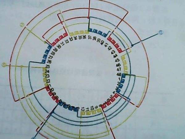 三相异步电动机的转速与极数的关系(图文教程),三相异步电动机的转速与极数的关系,图文,第1张
