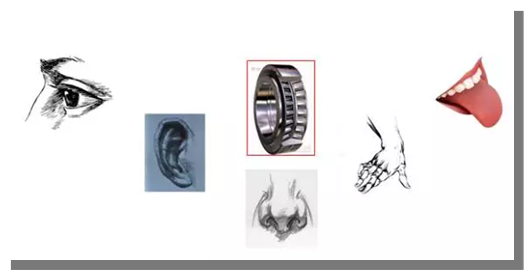 如何听音辨别轴承异常(图文教程),如何听音辨别轴承异常,产品,采用,结构,第1张