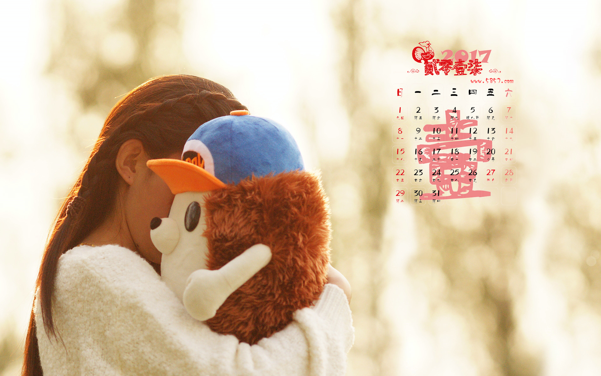 2017年日历可爱唯美图片高清图片(图文教程),2017年1月日历可爱唯美图片高清壁纸,图片,第2张