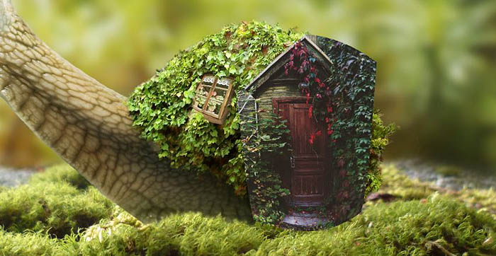 PS合成蜗牛背上的梦幻房子教程(图文教程),PS合成蜗牛背上的梦幻房子教程,选择,直径,形状,第36张