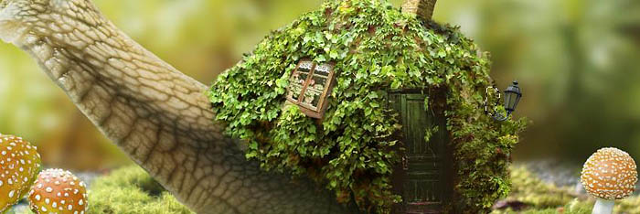 PS合成蜗牛背上的梦幻房子教程(图文教程),PS合成蜗牛背上的梦幻房子教程,选择,直径,形状,第66张