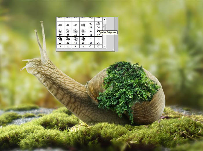 PS合成蜗牛背上的梦幻房子教程(图文教程),PS合成蜗牛背上的梦幻房子教程,选择,直径,形状,第24张