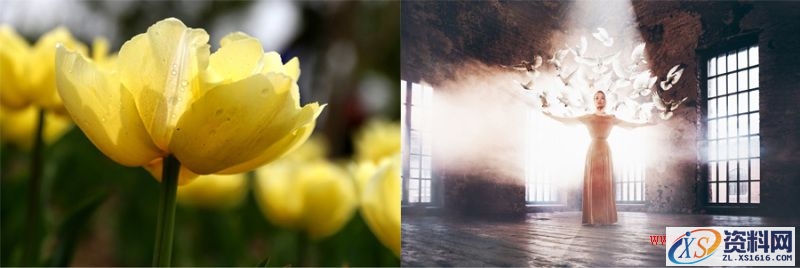 从这四个方面挑选图片素材，可以提高电商设计的出图质量(图文教程) ...,bp2016082111,设计,产品,一般,第15张