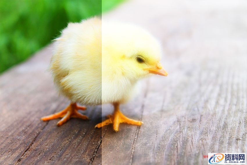 PS新手教程！5种常见的模糊效果小科普（附具体玩法）(图文教程) ...,PS新手教程！5种常见的模糊效果小科普（附具体玩法）,这个,角度,进行,第4张