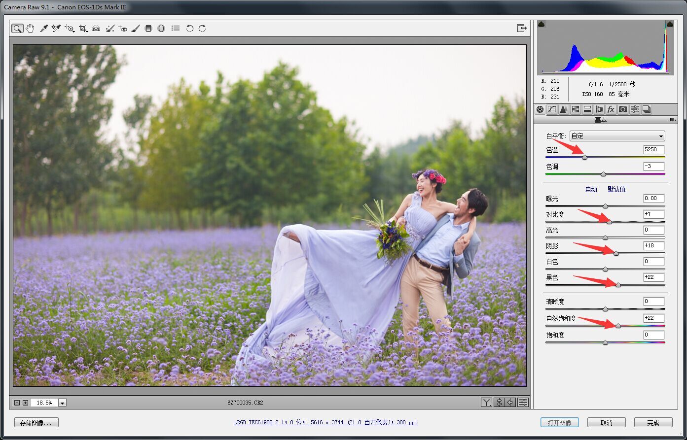 PS婚片后期——外景花海薰衣草(图文教程),PS婚片后期——外景花海薰衣草,用于,这个,什么,第2张
