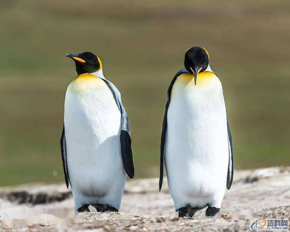 Photoshop：智能内容选区工具横向比较,设计,产品,模具,第10张