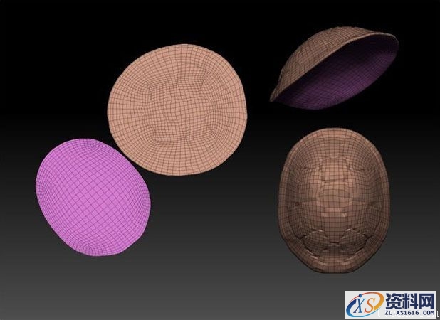 3dMax制作幽默海龟(图文教程),3dMax制作幽默海龟,设计,一般,这个,第12张