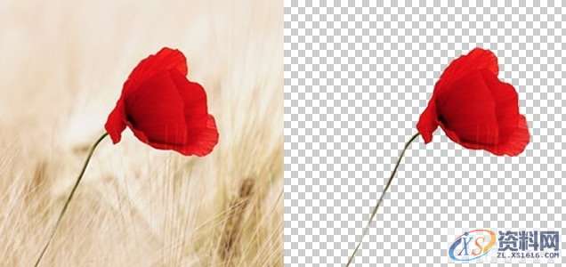 平面设计中的抠图技法与修图思路,设计,产品,结构,第6张