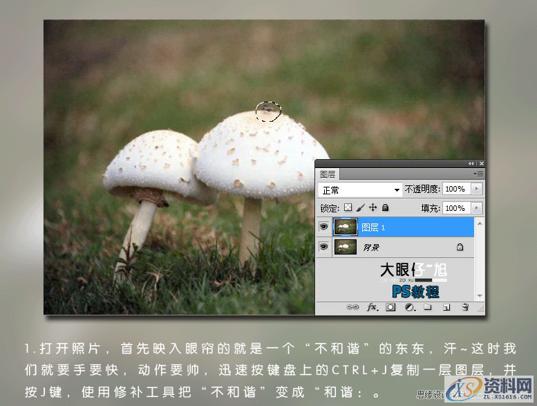 蓝青色写意图片如何在PS中调出？,Photoshop调出蓝青色写意图片效果,设计,产品,模具,第3张