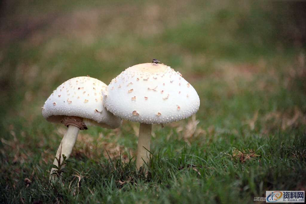 蓝青色写意图片如何在PS中调出？,Photoshop调出蓝青色写意图片效果,设计,产品,模具,第2张