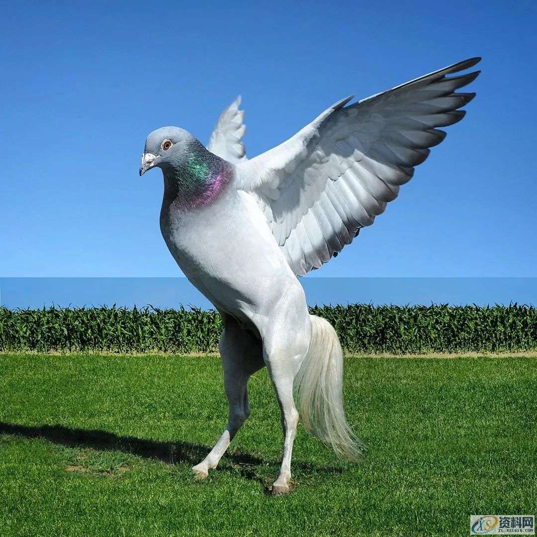 这些PS大神的设计的创意图片，你最佩服哪一张？这些PS大神的设计的创意图片，你最佩服哪一张？,这些PS大神的设计的创意图片，你最佩服哪一张？,设计,产品,模具,第15张