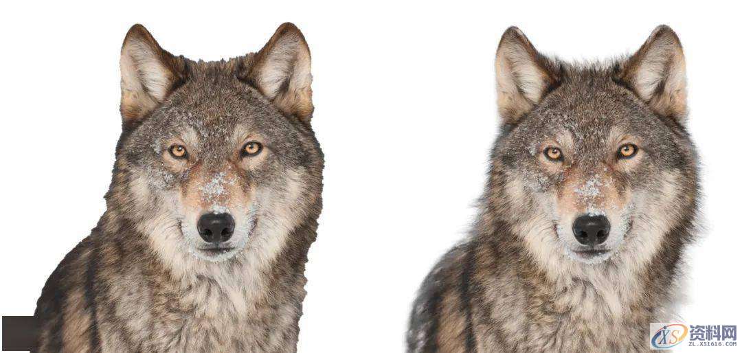 Photoshop 2021：那一抹人工智能的惊艳,选择,可以,一个,第2张