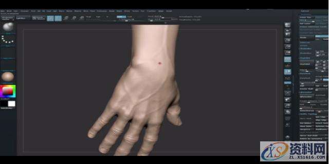 你是细节控吗？关于ZBrush手部雕刻这些细节你都了解吗？,选择,这个,用于,第5张